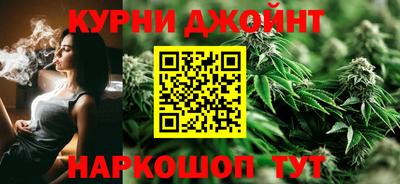 гидропоника Будённовск