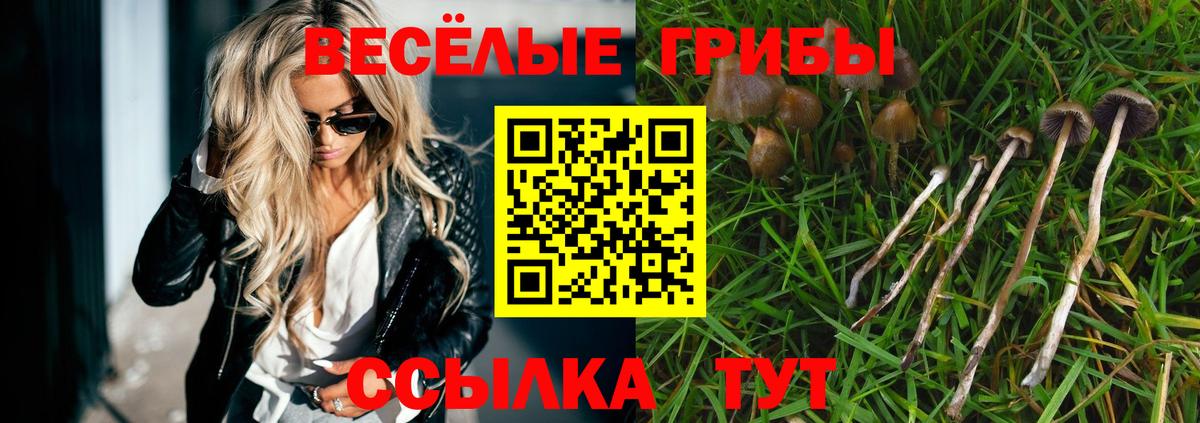 Псилоцибиновые грибы Cubensis Новочебоксарск