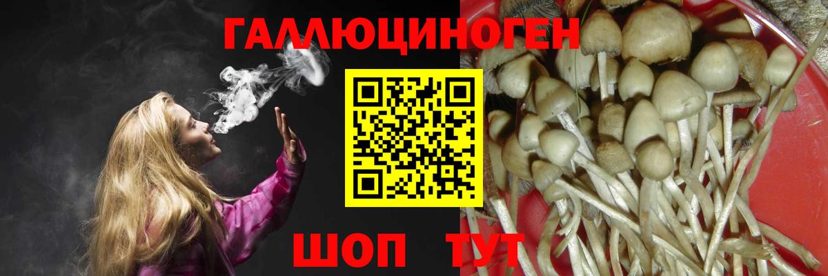 наркошоп  Вход с VPN  Новочебоксарск  Псилоцибиновые грибы ЛСД 